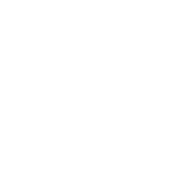 CapCut